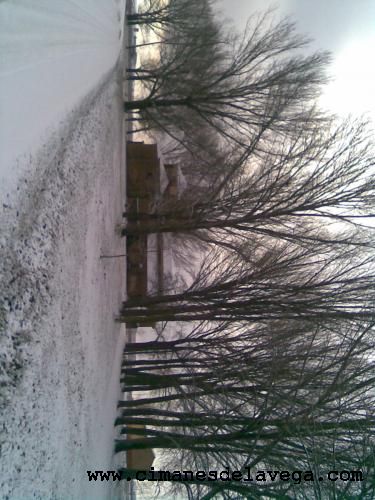 nieve 2009
